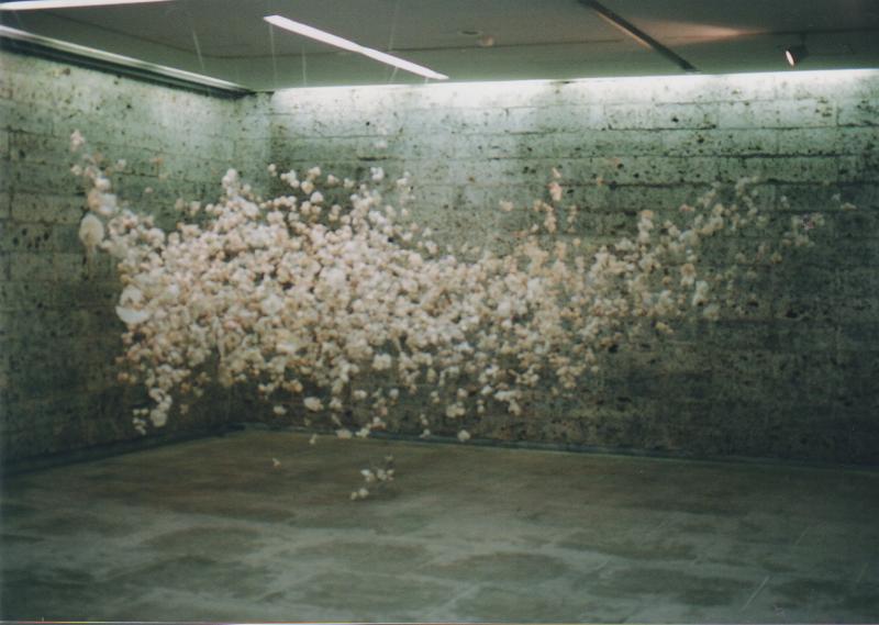 Web/Pray at the 2013 National Cherry Blossom&nbsp;Festival